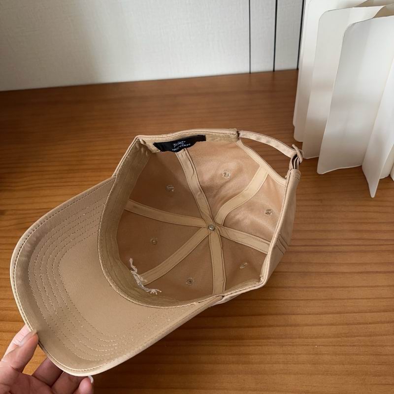 Arcteryx cap dx (447)