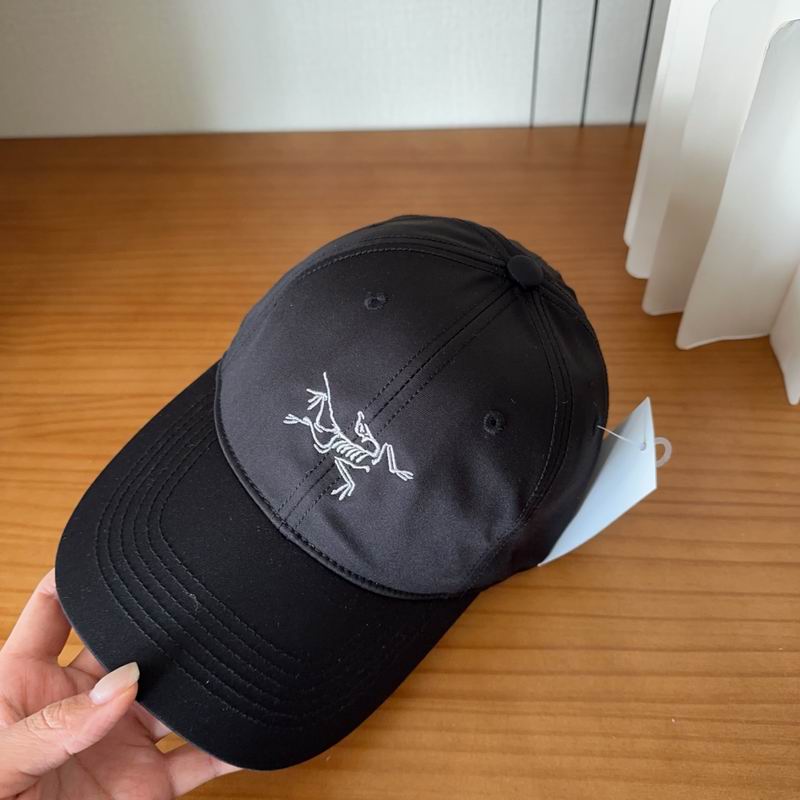 Arcteryx cap dx (458)