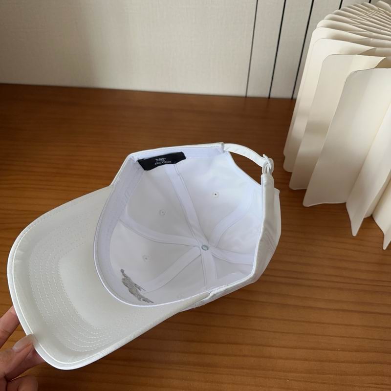 Arcteryx cap dx (464)