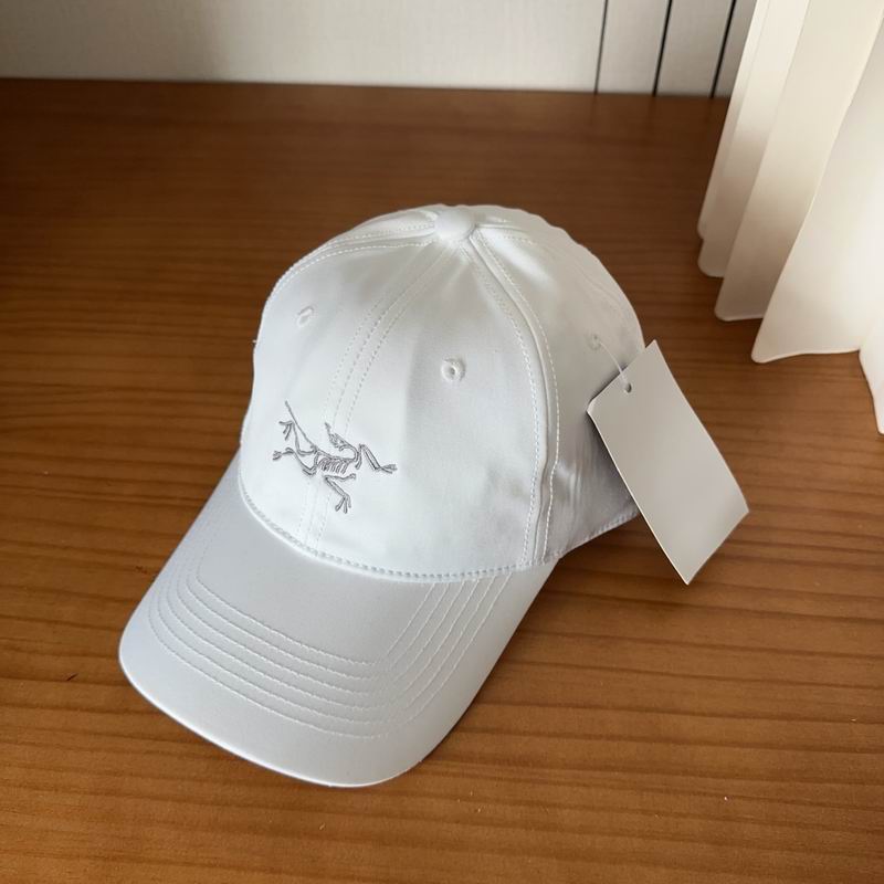 Arcteryx cap dx (465)