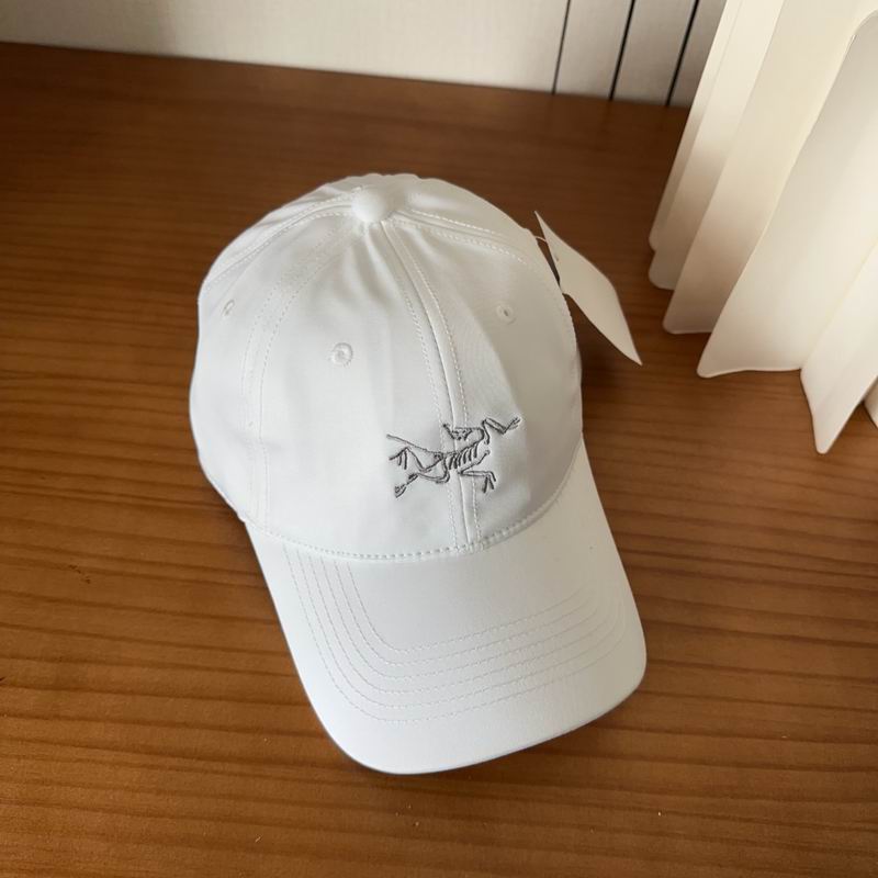 Arcteryx cap dx (466)