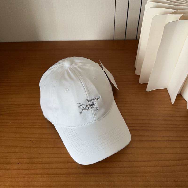 Arcteryx cap dx (471)