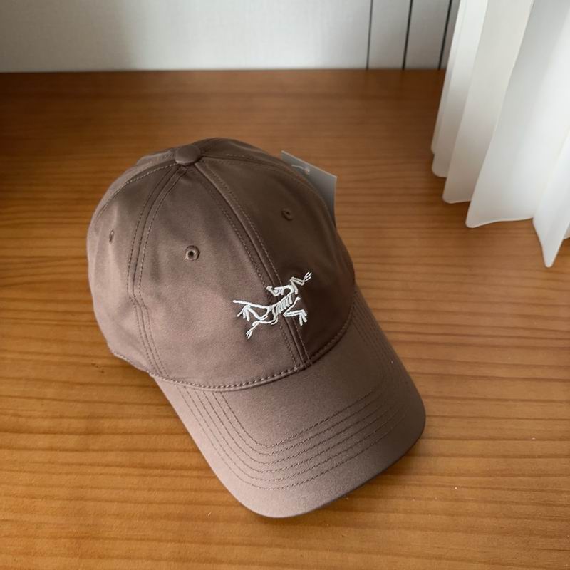 Arcteryx cap dx (476)