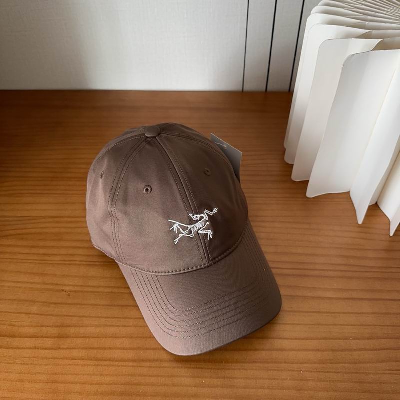 Arcteryx cap dx (480)