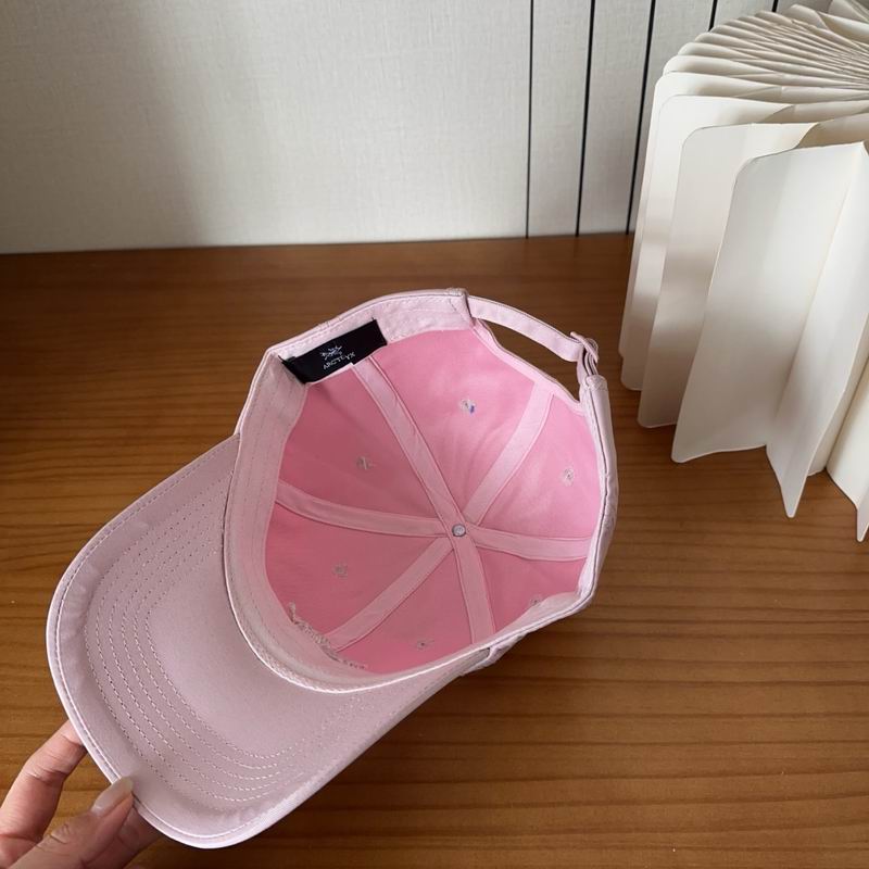 Arcteryx cap dx (481)