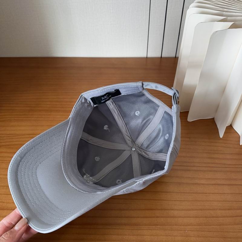 Arcteryx cap dx (490)