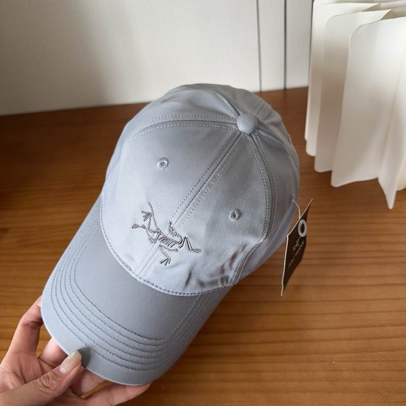 Arcteryx cap dx (491)