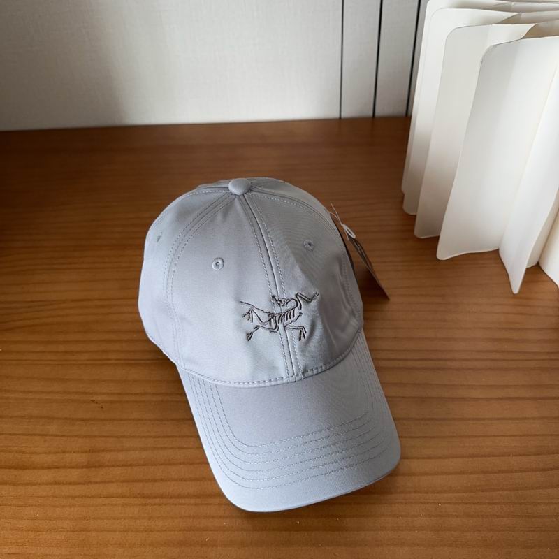 Arcteryx cap dx (495)