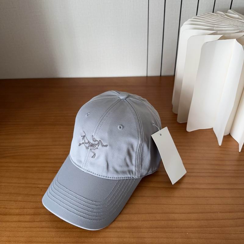 Arcteryx cap dx (497)