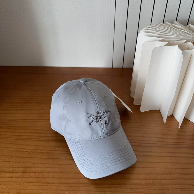 Arcteryx cap dx (498)