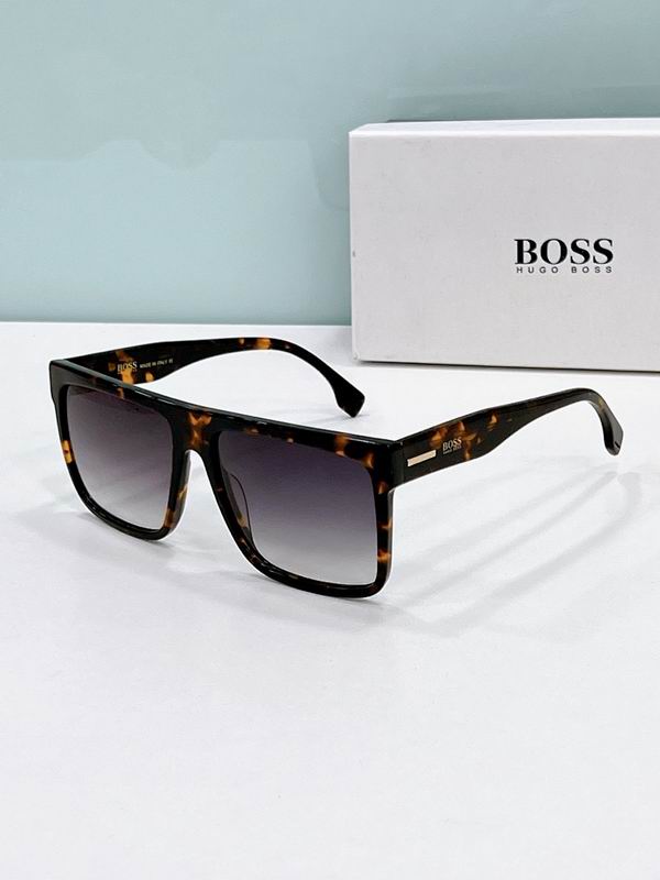 Boss Glasses ses (12)