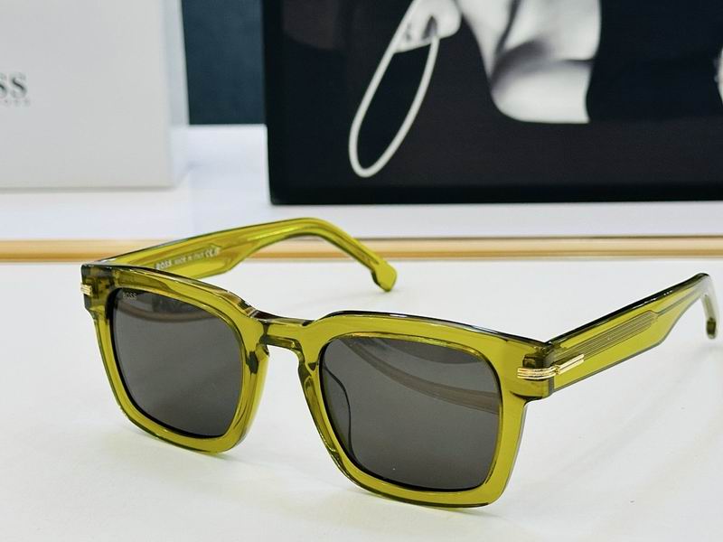 Boss Glasses ses (176)