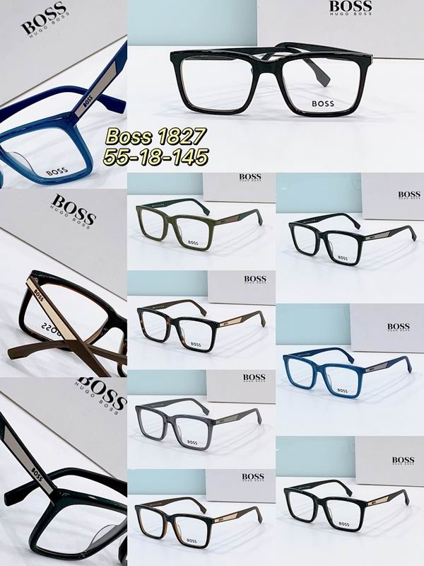 Boss Glasses ses (203)