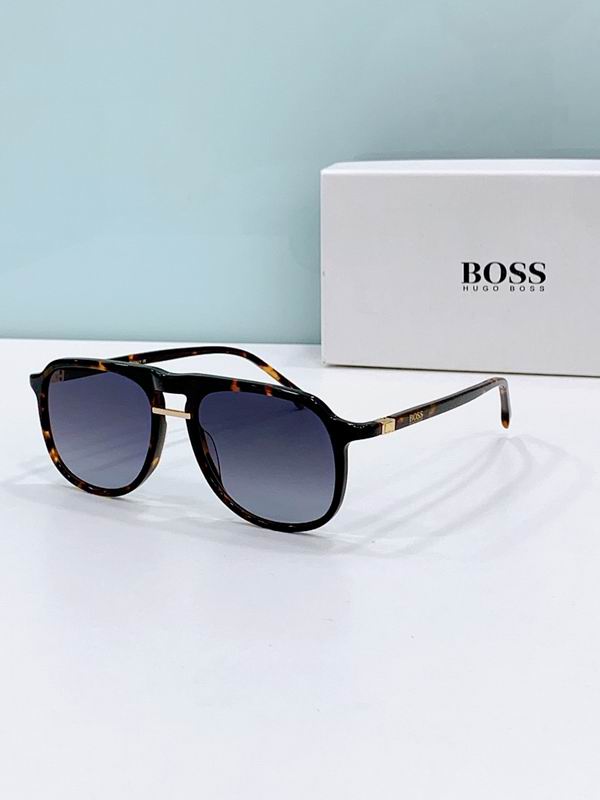 Boss Glasses ses (250)
