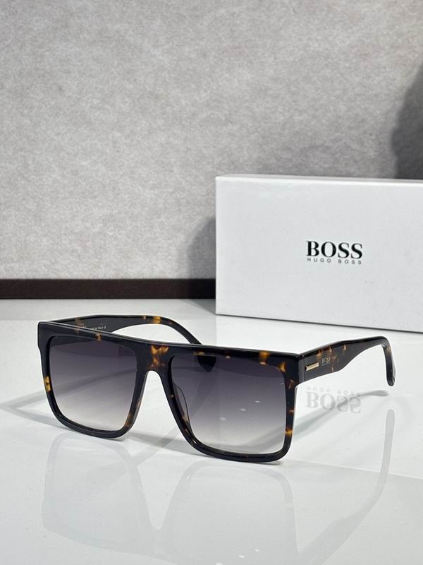 Boss Glasses ses (6)