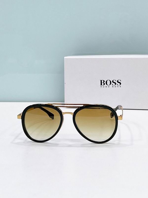 Boss Glasses ses (77)