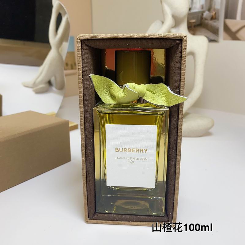 Burberry 100ml  (2)