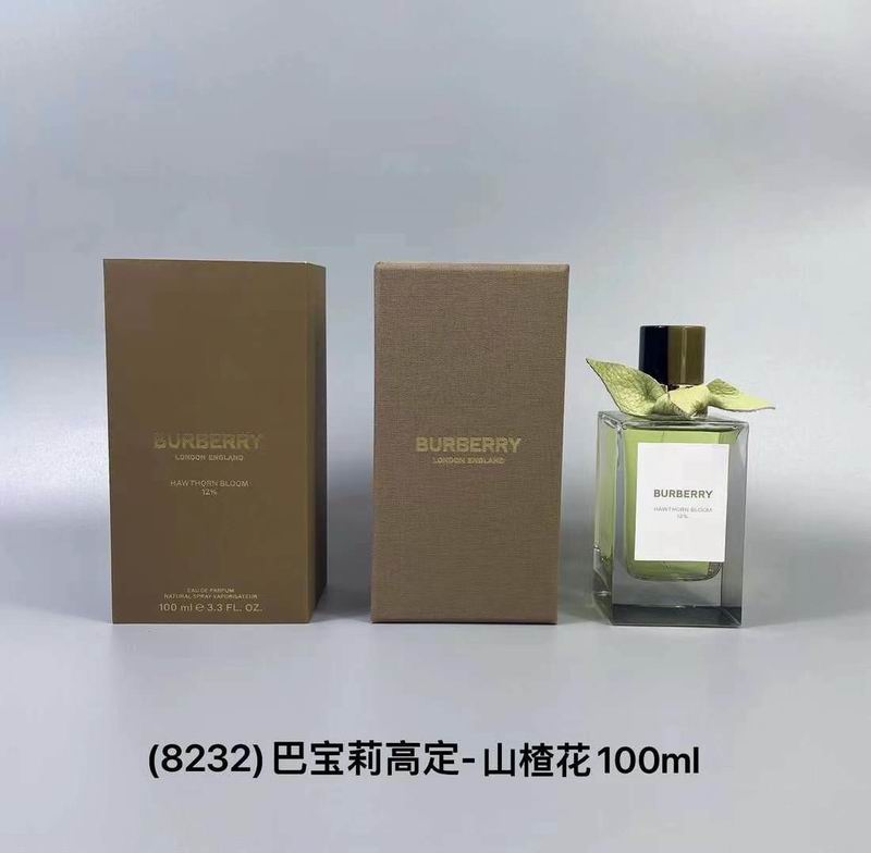 Burberry 100ml  (3)