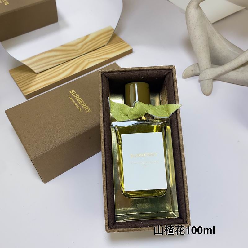 Burberry 100ml  (3)
