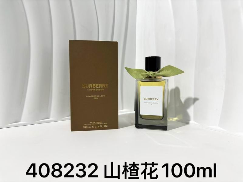 Burberry 100ml  (4)