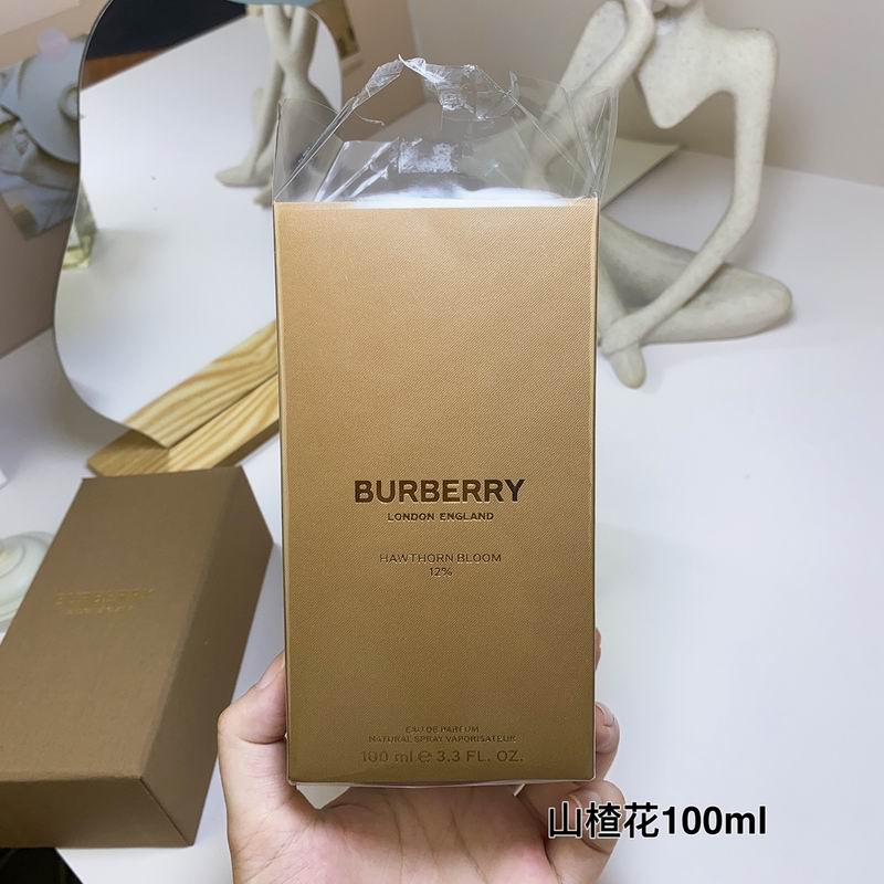 Burberry 100ml  (4)