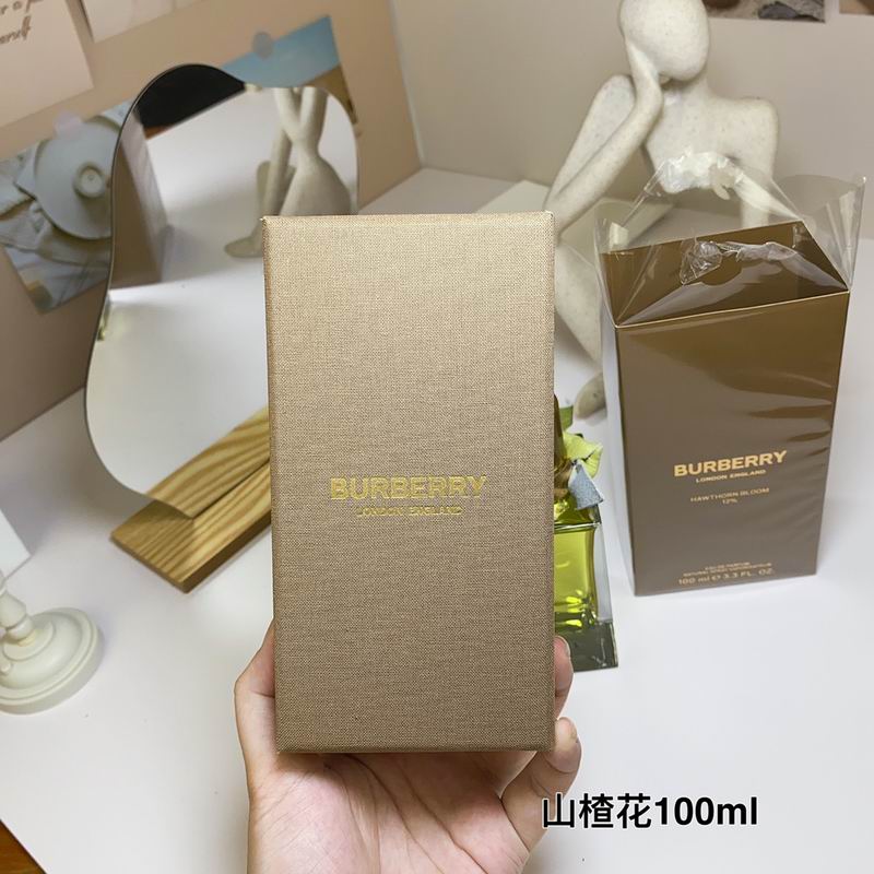 Burberry 100ml  (5)