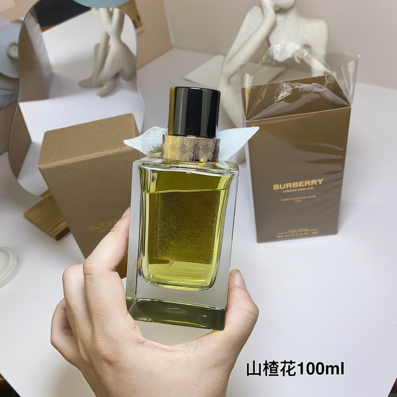 Burberry 100ml  (6)
