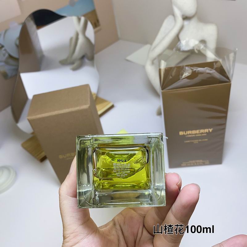 Burberry 100ml  (7)