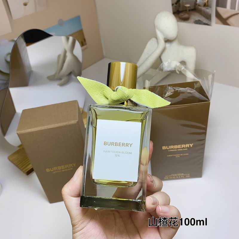 Burberry 100ml  (8)