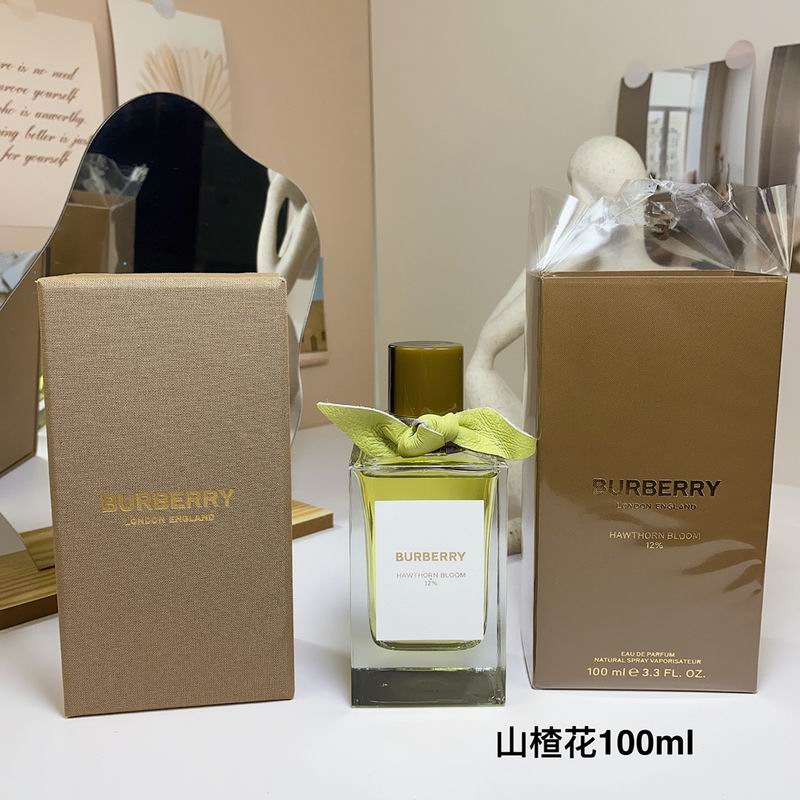 Burberry 100ml  (9)