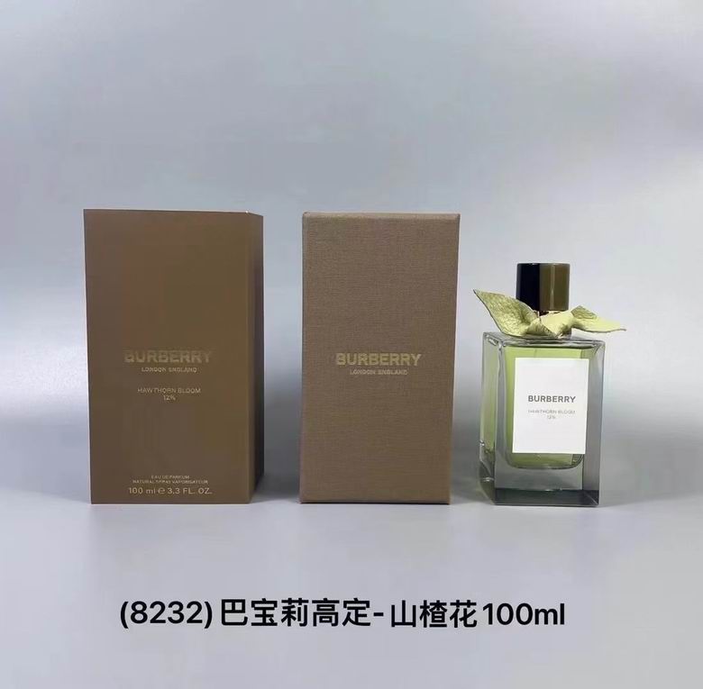 Burberry 100ml    (1)