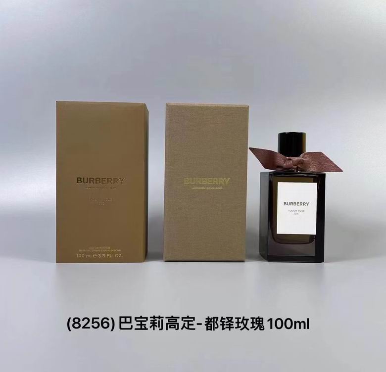 Burberry 100ml    (3)