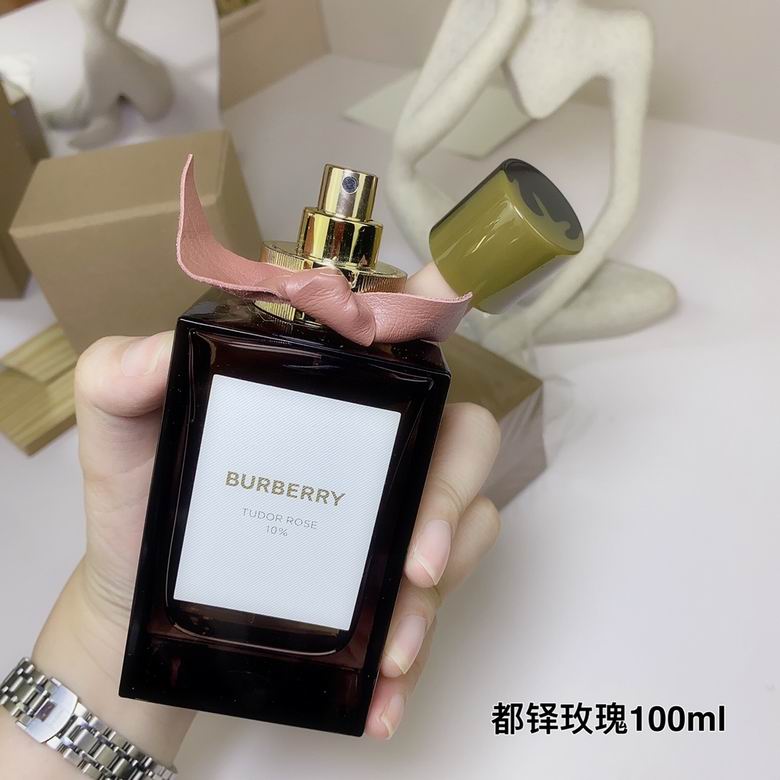 Burberry 100ml    (4)