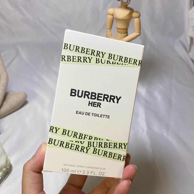 Burberry 100ml    (6)