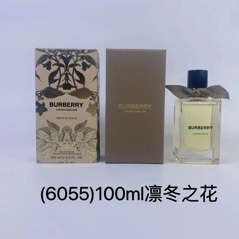 Burberry 100ml    (7)
