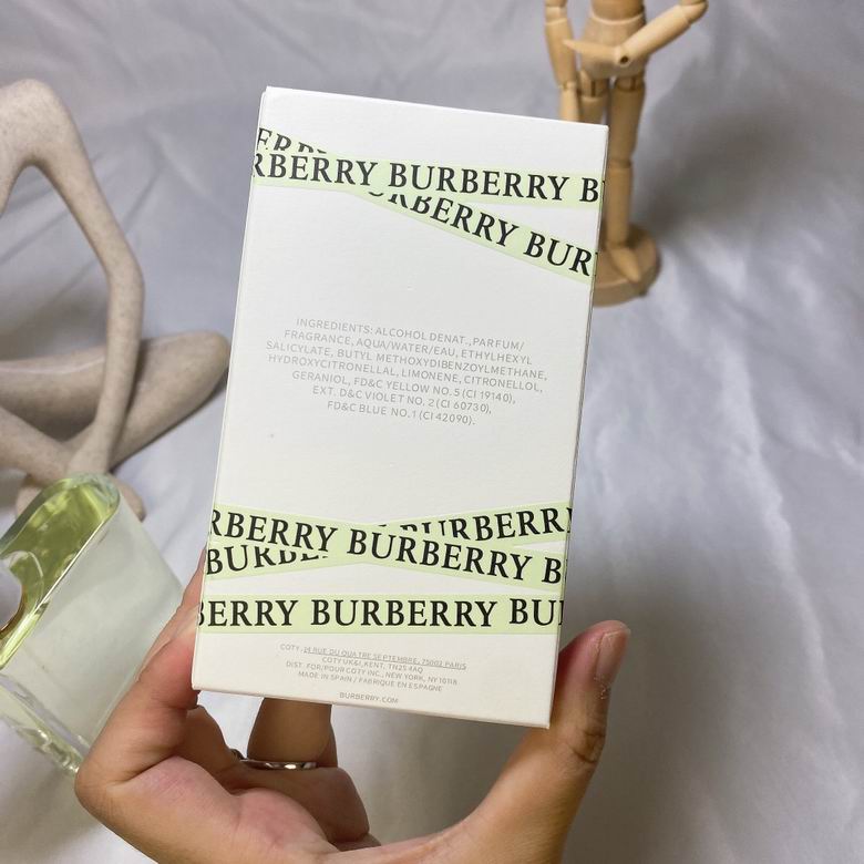 Burberry 100ml    (8)