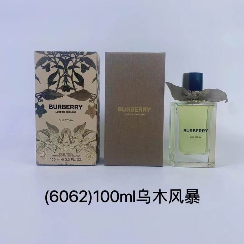 Burberry 100ml    (8)