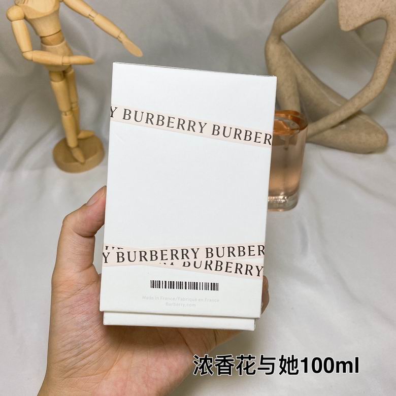 Burberry 100ml    (8)