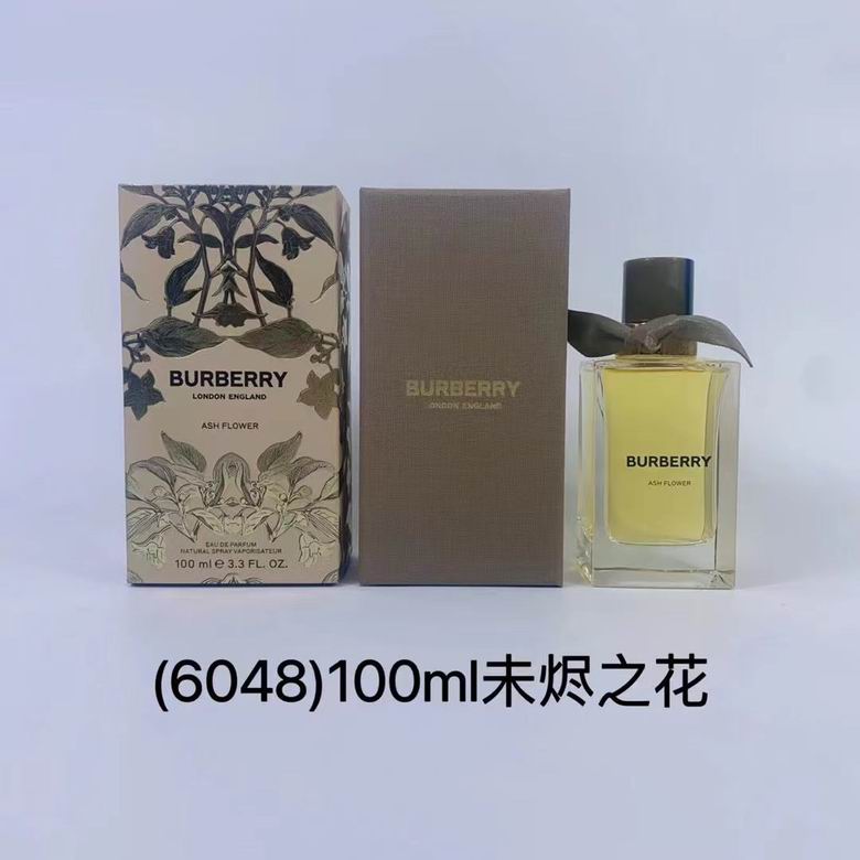 Burberry 100ml    (9)