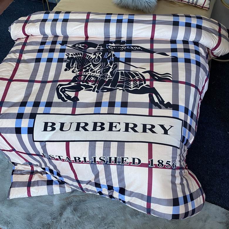 Burberry 2.0x2.3m   (8)
