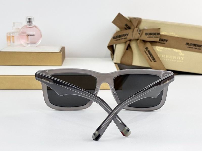 Burberry Glasses  sms (10)