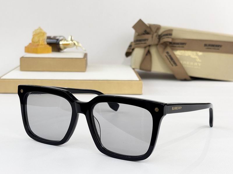 Burberry Glasses  sms (107)