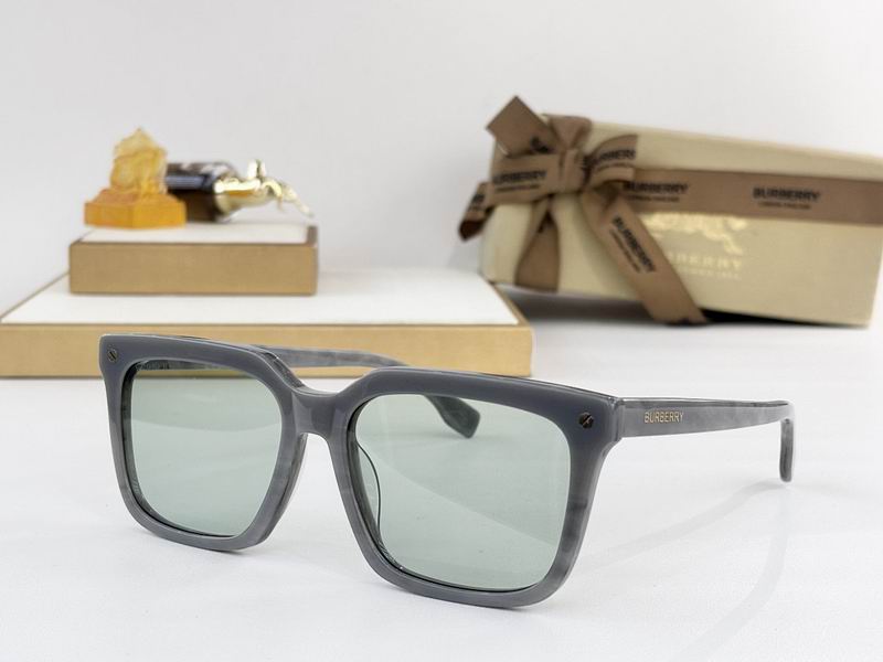 Burberry Glasses  sms (109)