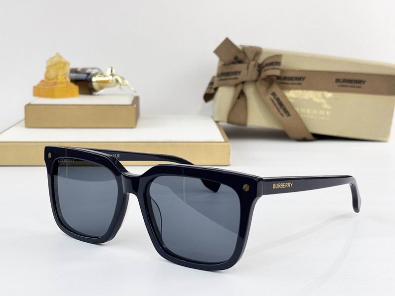 Burberry Glasses  sms (111)