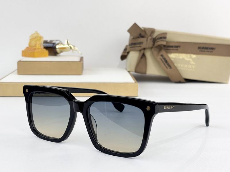 Burberry Glasses  sms (112)