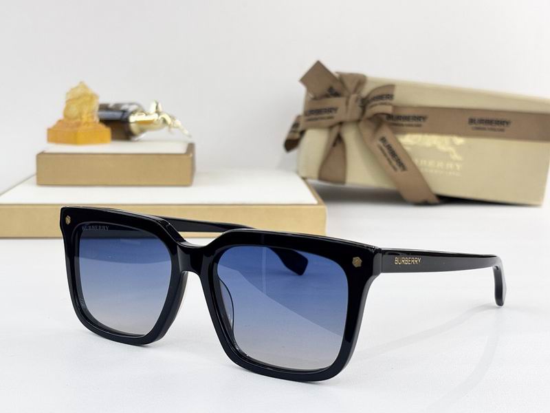 Burberry Glasses  sms (113)