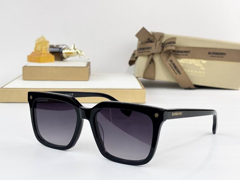 Burberry Glasses  sms (114)