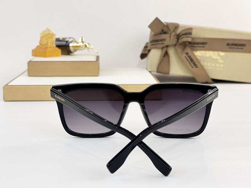 Burberry Glasses  sms (115)
