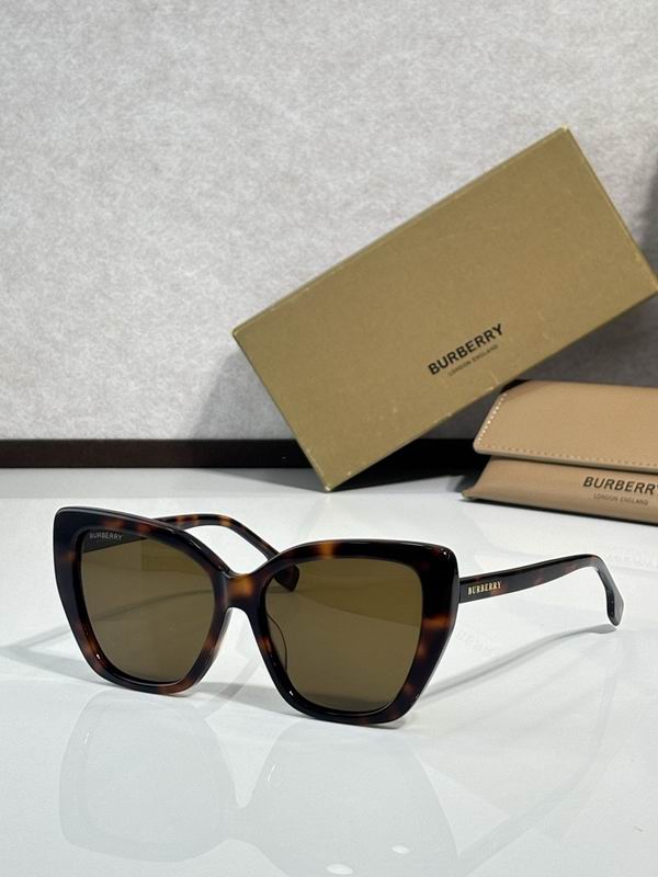 Burberry Glasses  sms (117)