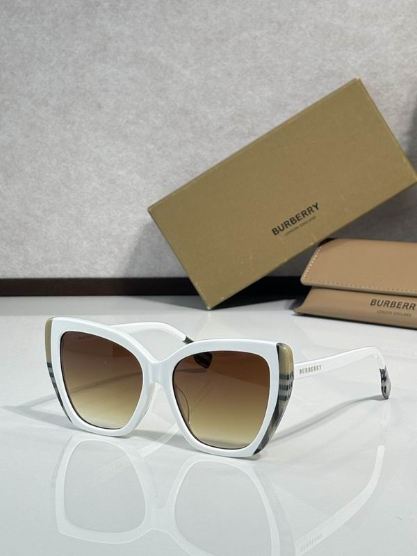 Burberry Glasses  sms (118)